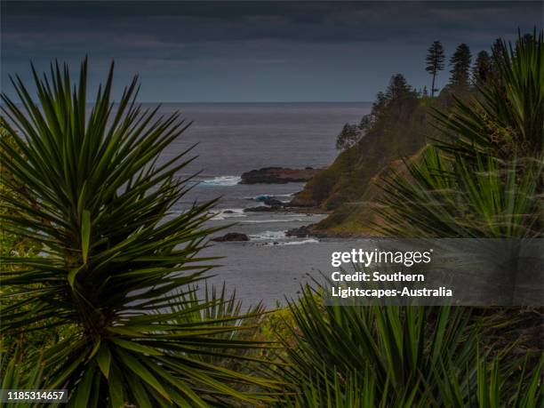 clifftop view towards cresswell's bay, norfolk island, south pacific. - cresswell stock pictures, royalty-free photos & images