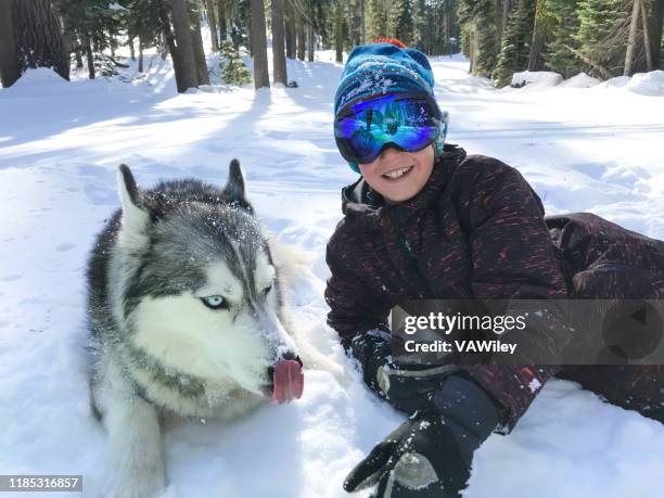 husky ama con su hijo de 9 años en el hermoso bosque de lake tahoe, california. - animal sledding fotografías e imágenes de stock