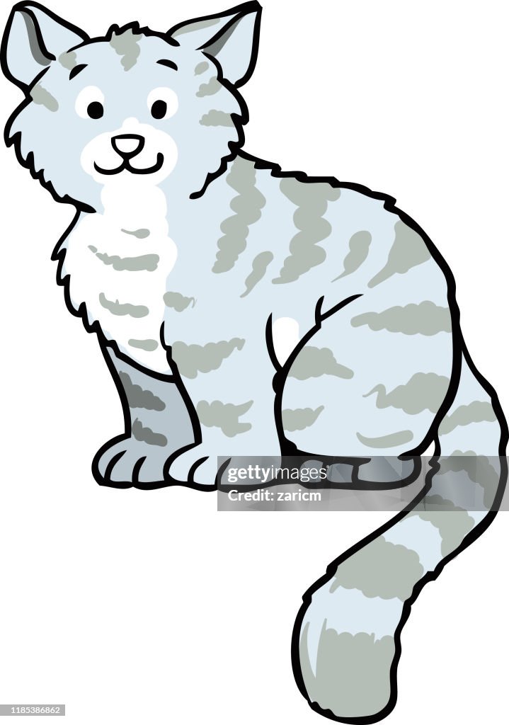 Een kat tekenen