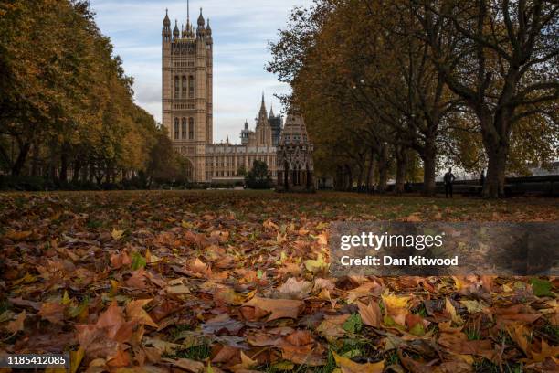 Fallen leaves lie on the ground near the Houses of Parliament on November 4, 2019 in London, England. Electioneering has begun as Britain prepares to...