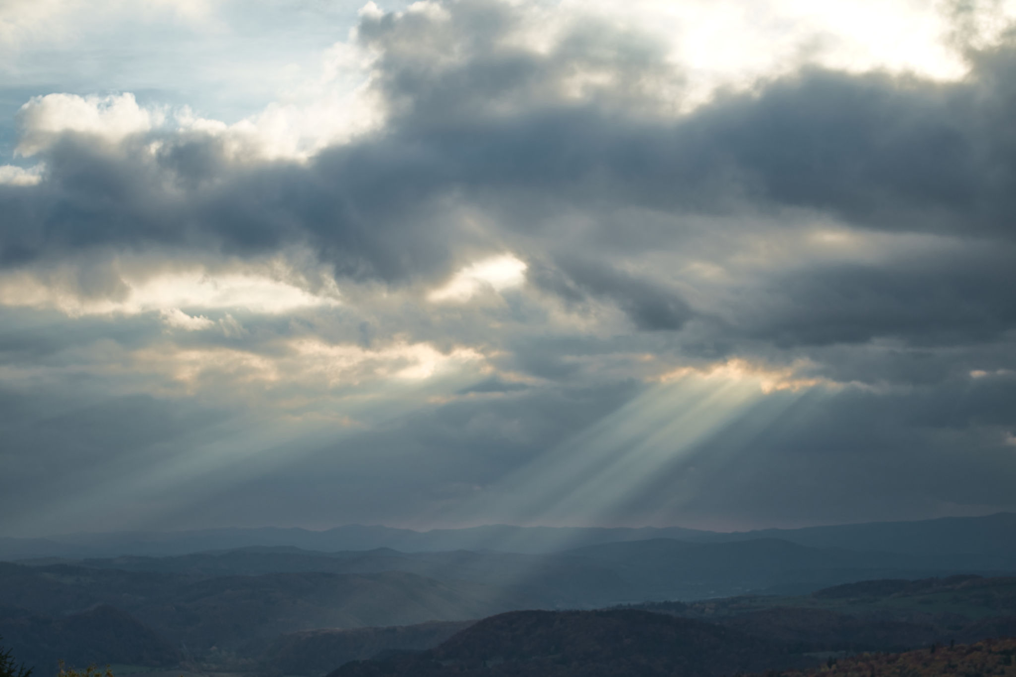 garage door final look