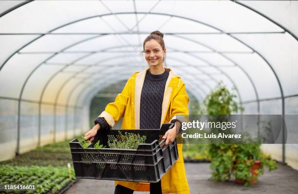 woman worker working in garden center - plantenkwekerij stockfoto's en -beelden