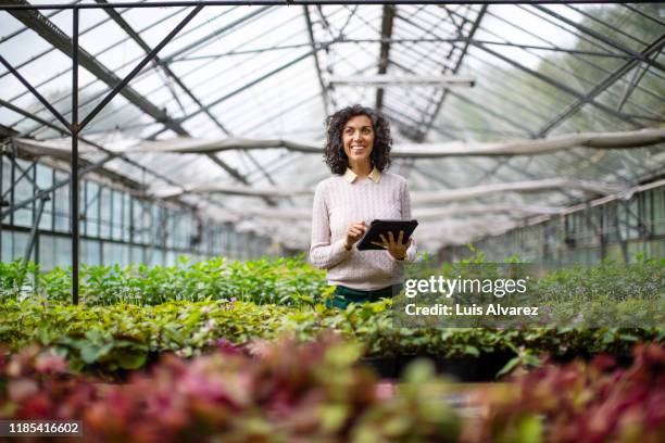 mature woman gardener with digital tablet at garden center - estufa estrutura feita pelo homem imagens e fotografias de stock