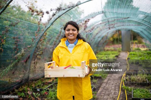 mid adult indian woman working in garden center - caisse bois photos et images de collection