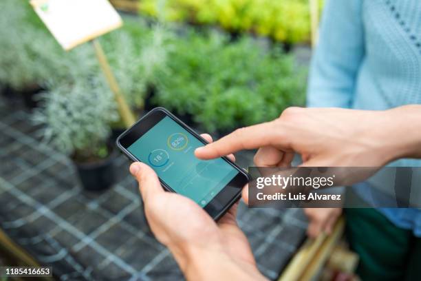 gardener using mobile phone in greenhouse - agriculture research stock pictures, royalty-free photos & images
