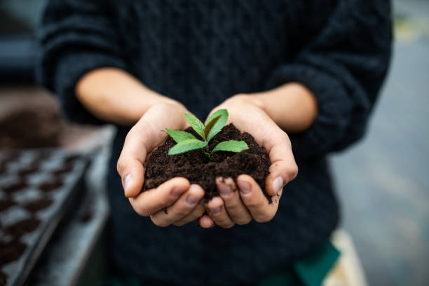 Female Gardener Holding A Sapling With Soil مجلة نقطة العلمية