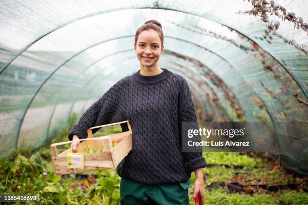 woman with wooden box standing in greenhouse - farmer female confident stock pictures, royalty-free photos & images