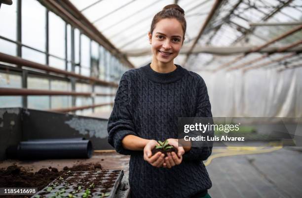 woman gardener holding a seedling at garden center - hohle hände stock-fotos und bilder