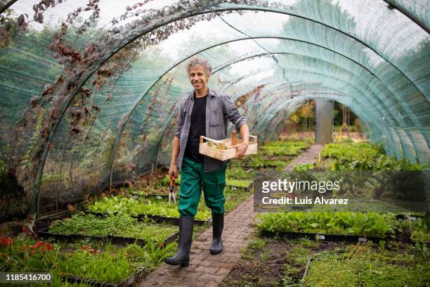 mature garden worker in garden center - teal portrait stock pictures, royalty-free photos & images