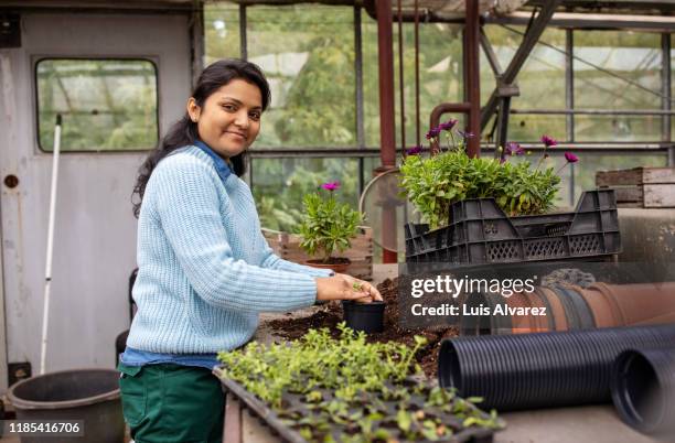 woman planting new plants at garden center - same person different clothes stock-fotos und bilder