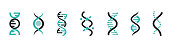 DNA Icons set. DNA Structure molecule icon. Vector molecule. Chromosome icon