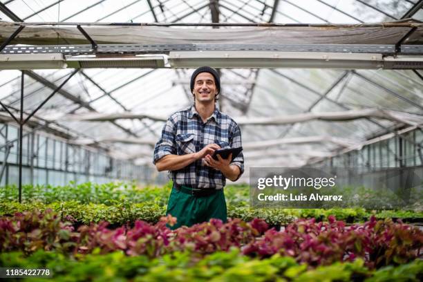 male garden worker with digital tablet at greenhouse - greenhouse foto e immagini stock