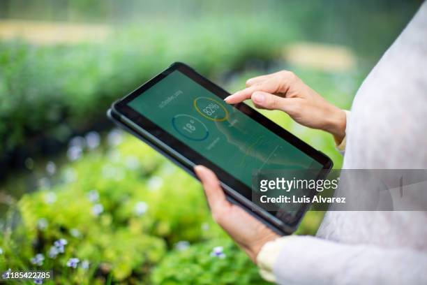 gardener using digital tablet for information about new plants - agricoltura foto e immagini stock