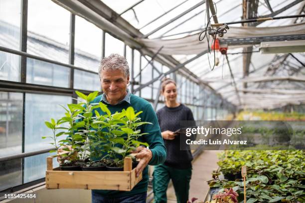 male customer purchasing plants from garden center - gärtnerei stock-fotos und bilder