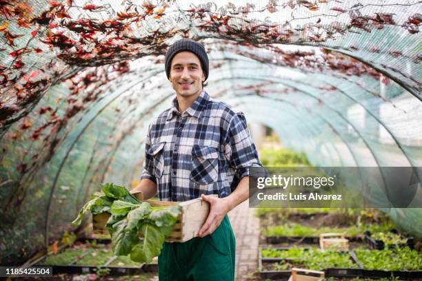 confident young man with a plants box in garden center - green pants stock-fotos und bilder