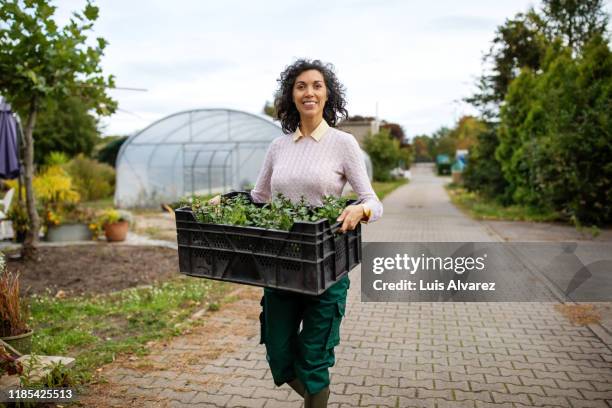 female gardener working at garden center - tuincentrum stockfoto's en -beelden