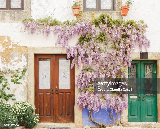 house with wall covered in wisteria and wood door - blåregn bildbanksfoton och bilder