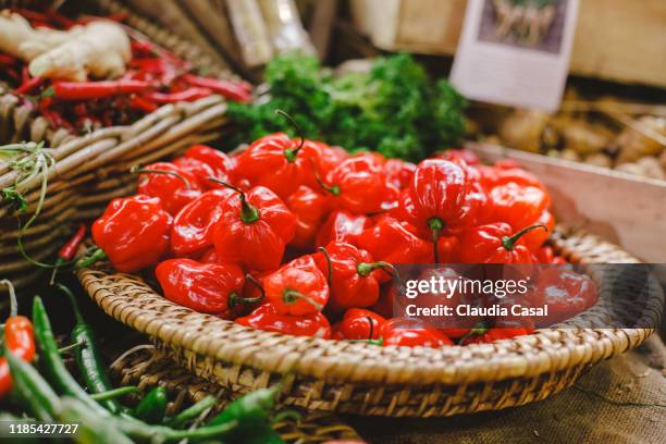 high angle view of red habanero peppers at market stall - habanero stock pictures, royalty-free photos & images
