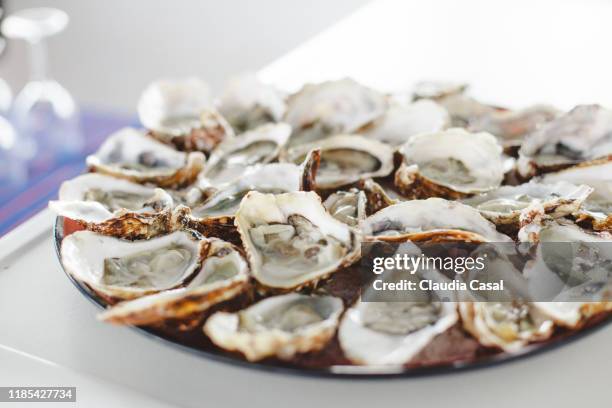 raw oysters on a plate - setúbal district stock pictures, royalty-free photos & images