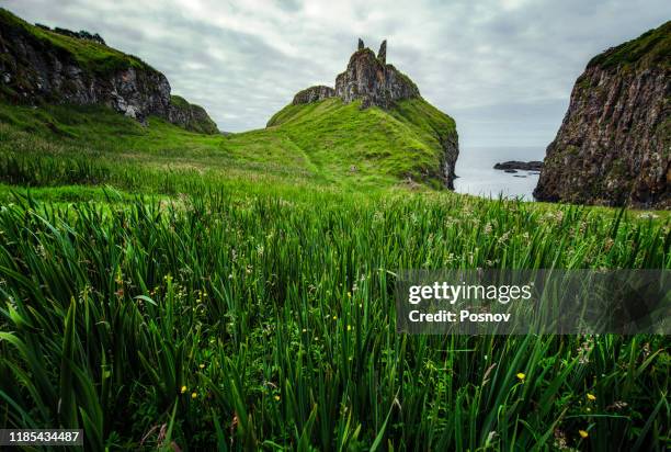 dunseverick castle - dunseverick castle stock pictures, royalty-free photos & images