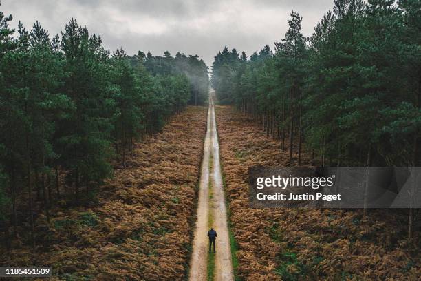 man walking along forest track - callejon fotografías e imágenes de stock