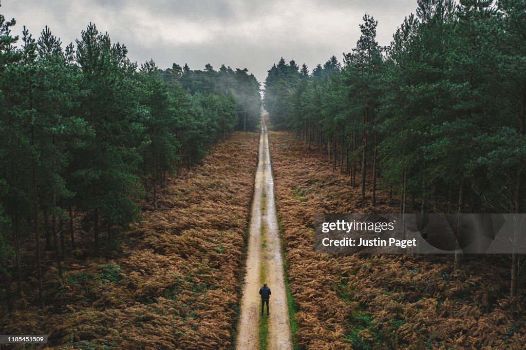 Man walking along forest track