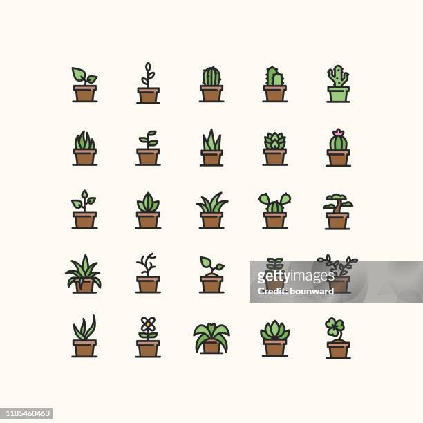 plant in pot outline icons - bonsai tree stock illustrations