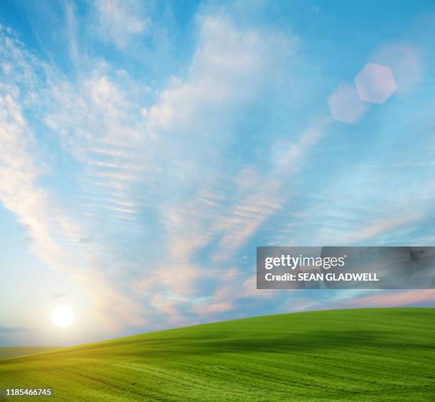 sun rising over fields - grass hill stock pictures, royalty-free photos & images