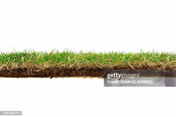 grass turf side view - land stockfoto's en -beelden