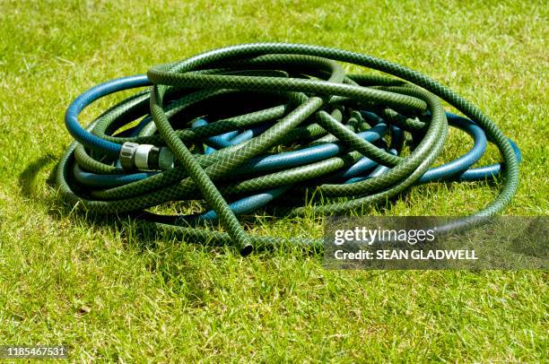 green hose pipe - hosepipe stock pictures, royalty-free photos & images