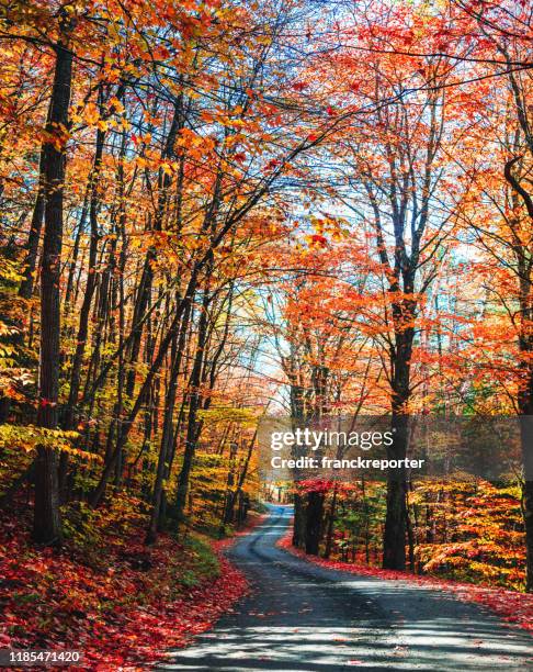 route automnale dans le maine - appalachia trail photos et images de collection