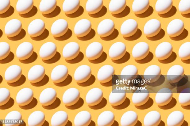 neatly arranged white eggs - animal egg stock pictures, royalty-free photos & images