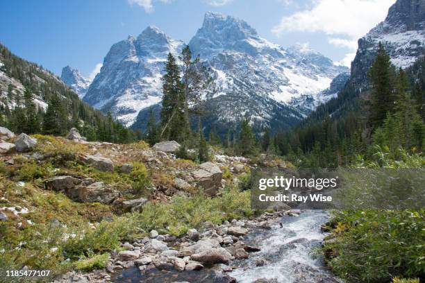 stream running through cascade canyon - grand teton national park 個照片及圖片檔