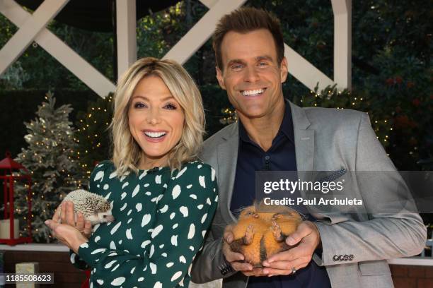 Hosts Debbie Matenopoulos and Cameron Mathison on the set of Hallmark Channel's "Home & Family" at Universal Studios Hollywood on November 04, 2019...