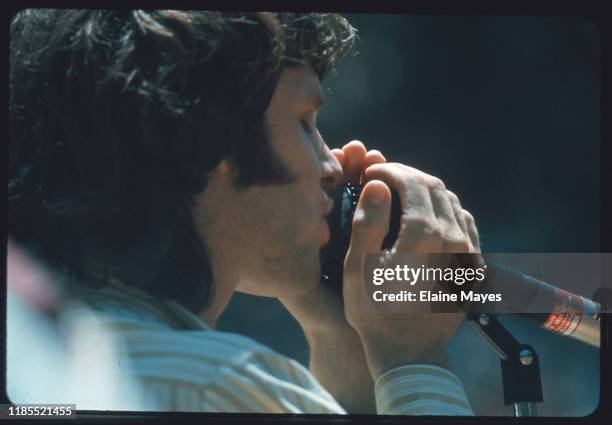 Jim Morrison performs with the Doors at Fantasy Fair in Marin County, California, during the Summer of Love, 1967;