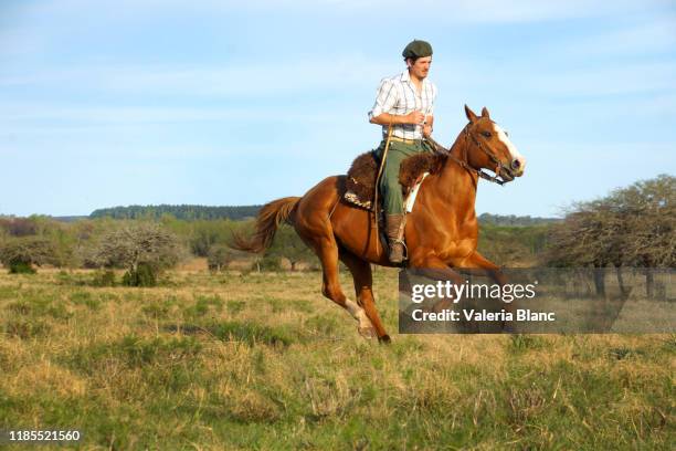 young man on horseback - argentina gaucho stock pictures, royalty-free photos & images