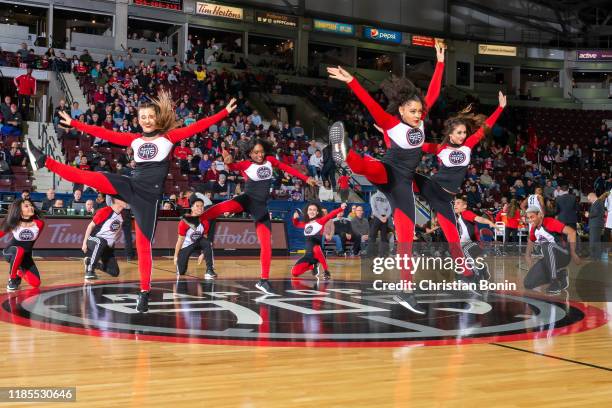Sauga Raptors Sauga Photos and Premium High Res Pictures - Getty Images