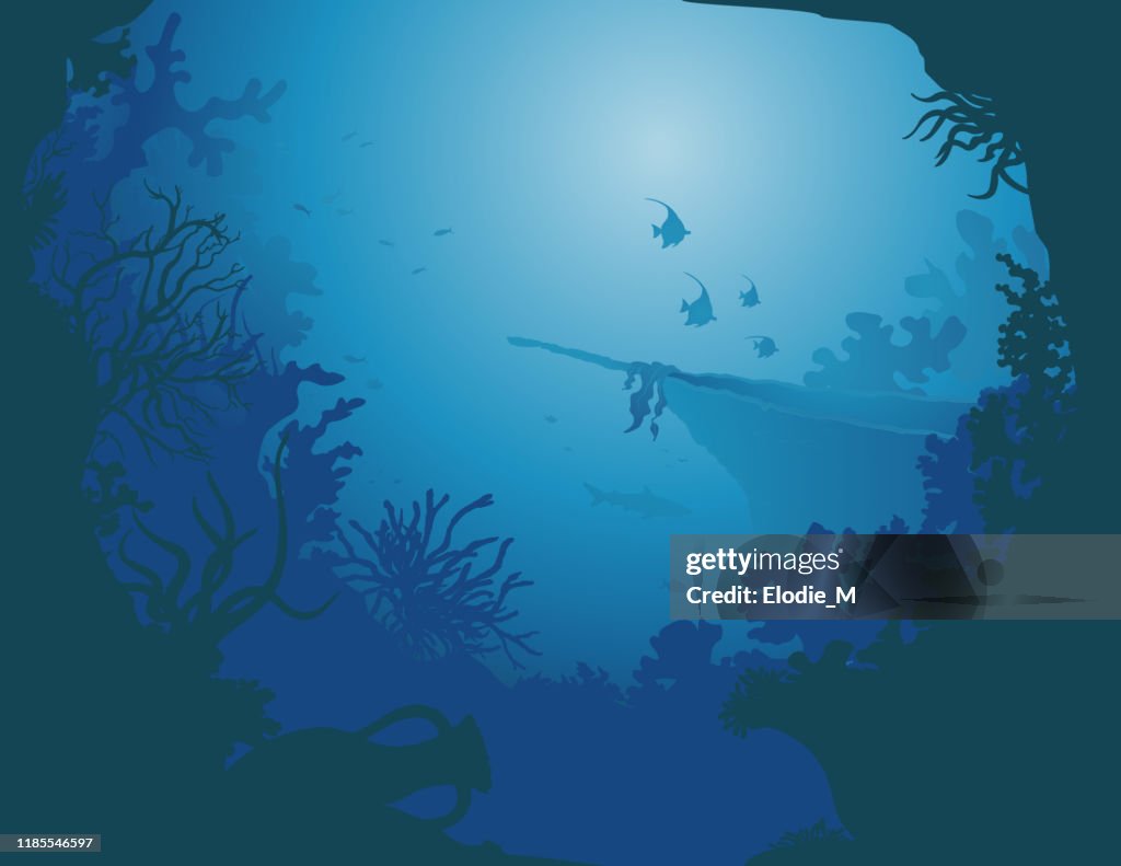 Deep sea shipwreck / Shipwreck