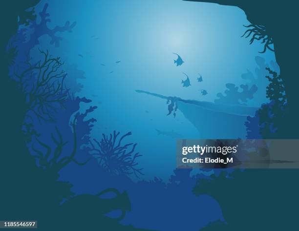 深海沉船/沉船 - anemonefish 幅插畫檔、美工圖案、卡通及圖標