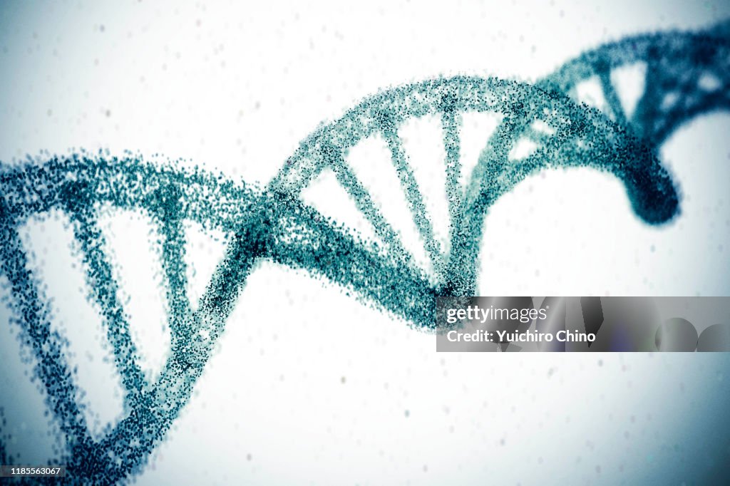 Double helix dna model
