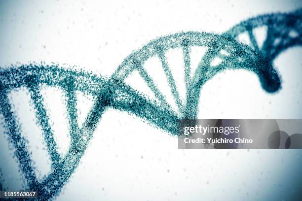 double helix dna model - dna stock pictures, royalty-free photos & images