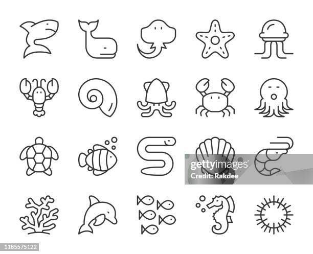 sea life und ozean tier - light line icons - sea urchin stock-grafiken, -clipart, -cartoons und -symbole