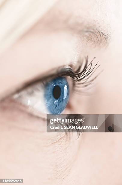 blue eye close up - cornea stock pictures, royalty-free photos & images