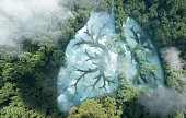 Green lungs of planet Earth. 3d rendering of a clean lake in a shape of lungs in the middle of  virgin forest. Concept of nature and rainforest protection, nature breathing and natural co2 reduction.