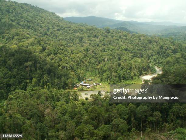 gold exploration camp - provinz papua indonesien stock-fotos und bilder