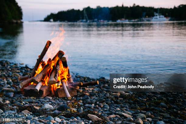 beach fire on the shore in maine - holzfeuer stock-fotos und bilder