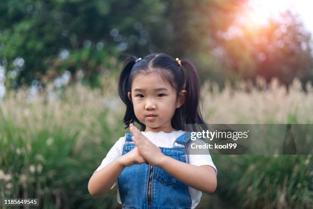 kung fu girls - wushu stock pictures, royalty-free photos & images