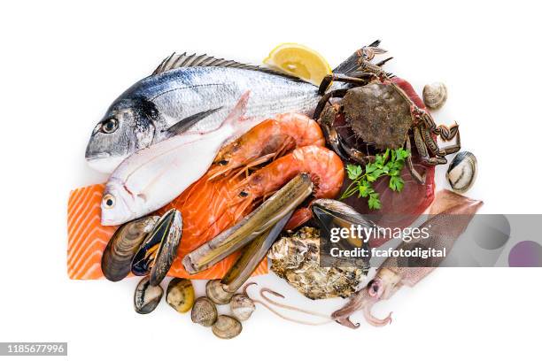 grupo de mariscos crudos aislados sobre fondo blanco - peces fotografías e imágenes de stock