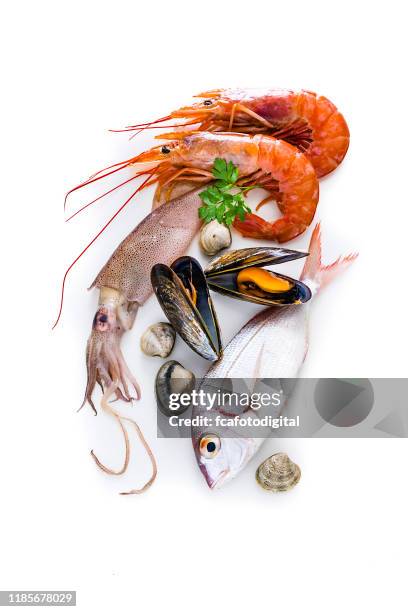 groep van rauwe zeevruchten geïsoleerd op witte achtergrond - garnaal vis en zeevruchten stockfoto's en -beelden