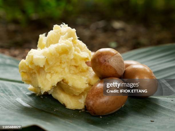Shea butter and shea nuts are displayed on a green leaf in Jos on September 15, 2019. - Shea nuts grow abundantly in Nigeria. Shea butter is consumed...